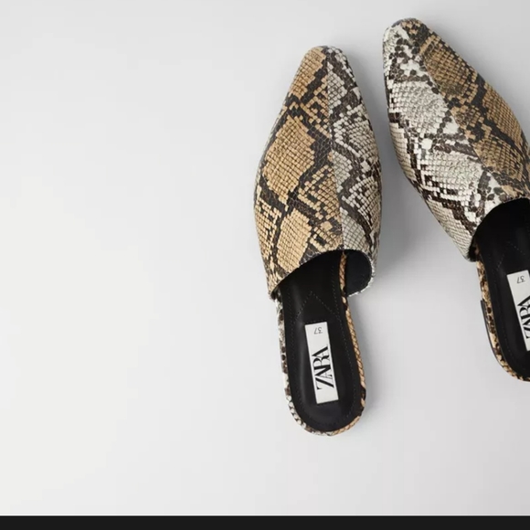 Shoes - NWOT ZARA Pointed Toe Snakeskin Loafers Flats